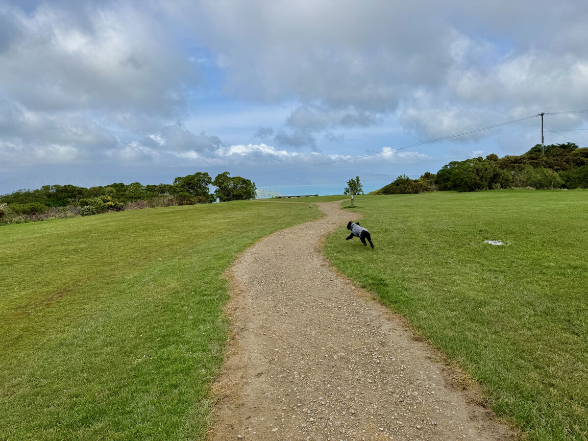 Photo from Waihinahina Park in Memory of Dennis Duggan