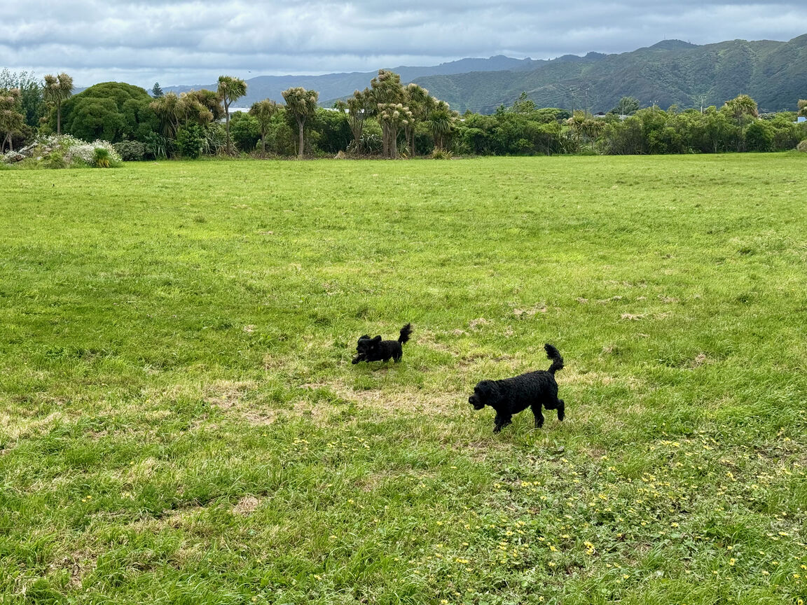 Photo from Ava Park
