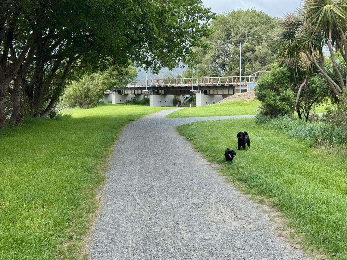 Photo from Ava Park