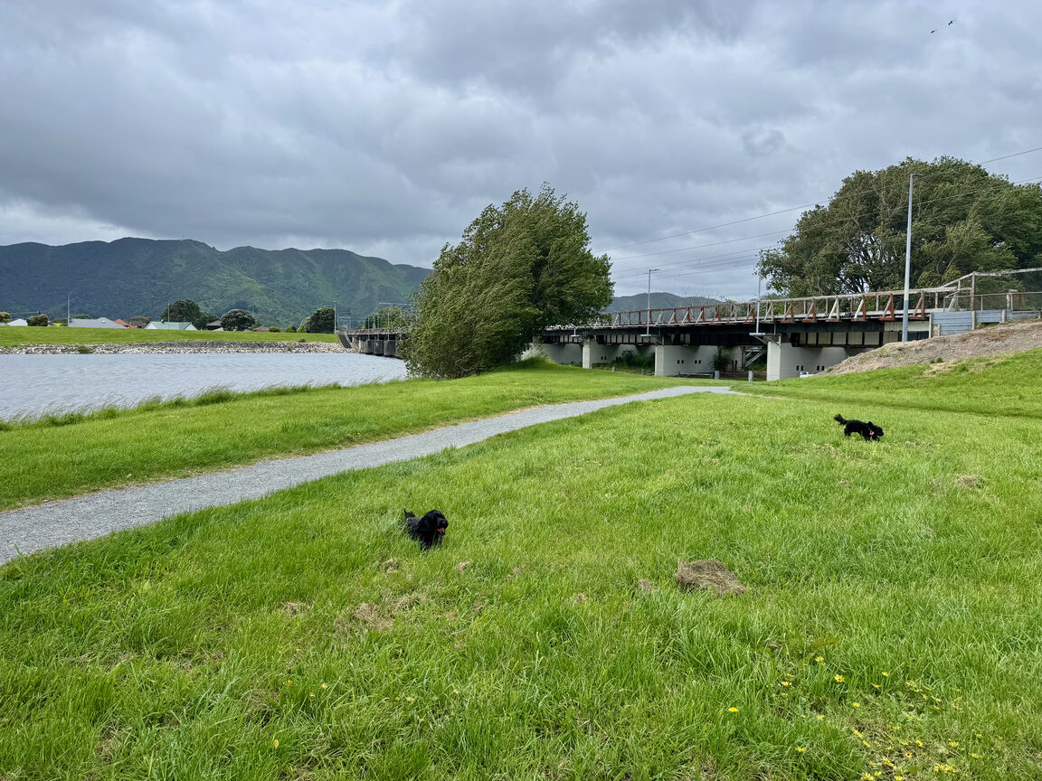Photo from Ava Park