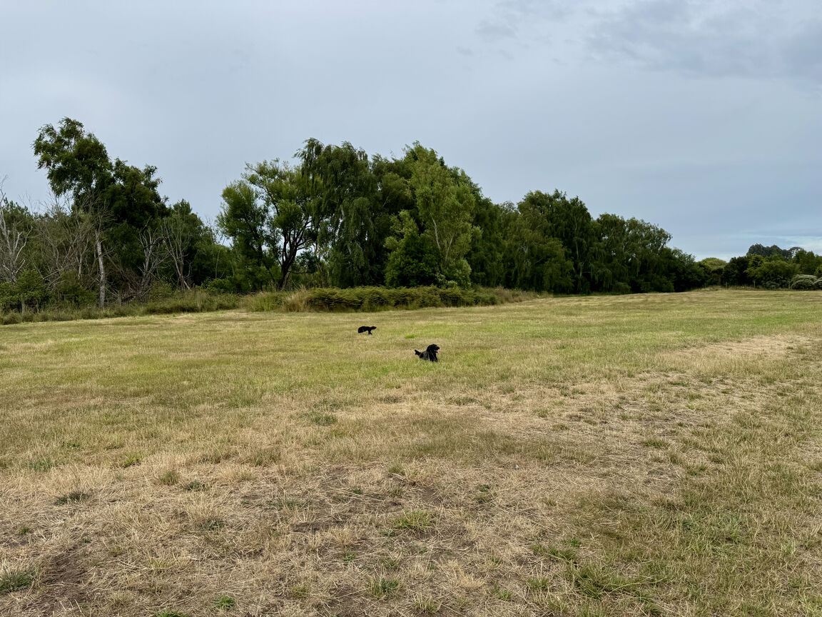 Photo from Groynes Yvonne Palmer Dog Park