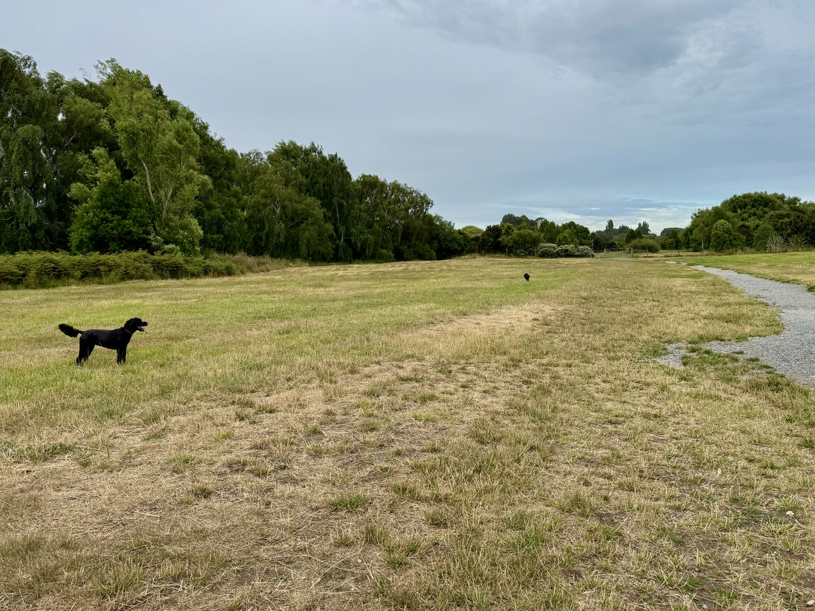 Photo from Groynes Yvonne Palmer Dog Park