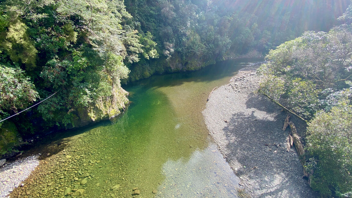 Photo from Kaitoke Regional Park