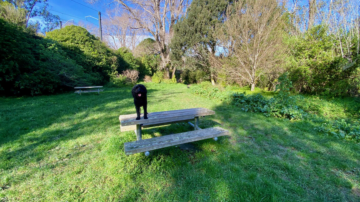 Photo from Willowbank Park