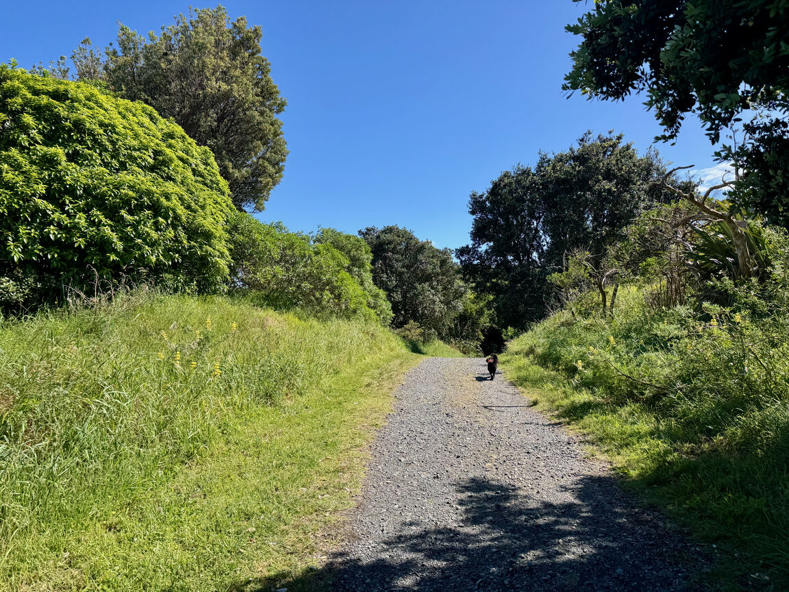 Photo from Queen Elizabeth Park