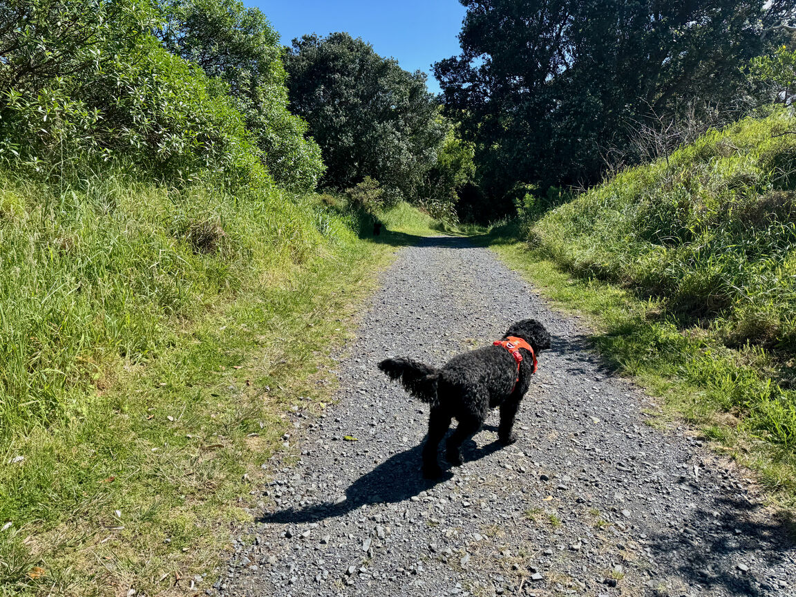 Photo from Queen Elizabeth Park