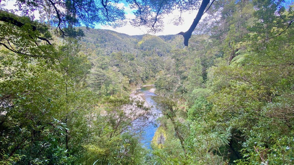 Photo from Kaitoke Regional Park