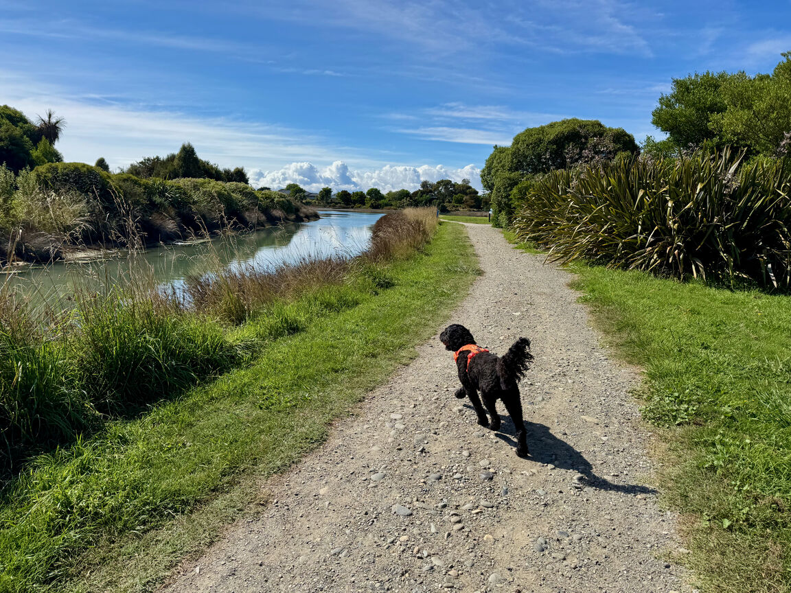 Photo from Great Taste Trail — Northern section from Māpua to Tapawera through Riuwaka, excluding Old Mill Walkway Reserve (on leash)