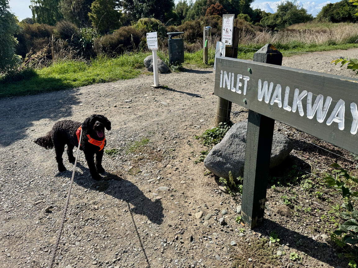 Photo from Great Taste Trail — Northern section from Māpua to Tapawera through Riuwaka, excluding Old Mill Walkway Reserve (on leash)