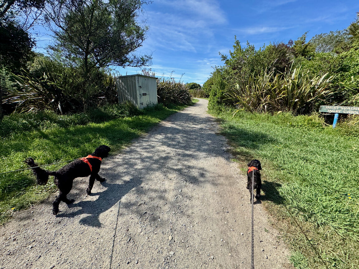 Photo from Great Taste Trail — Northern section from Māpua to Tapawera through Riuwaka, excluding Old Mill Walkway Reserve (on leash)