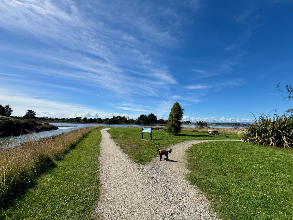 Photo from Great Taste Trail — Northern section from Māpua to Tapawera through Riuwaka, excluding Old Mill Walkway Reserve (on leash)