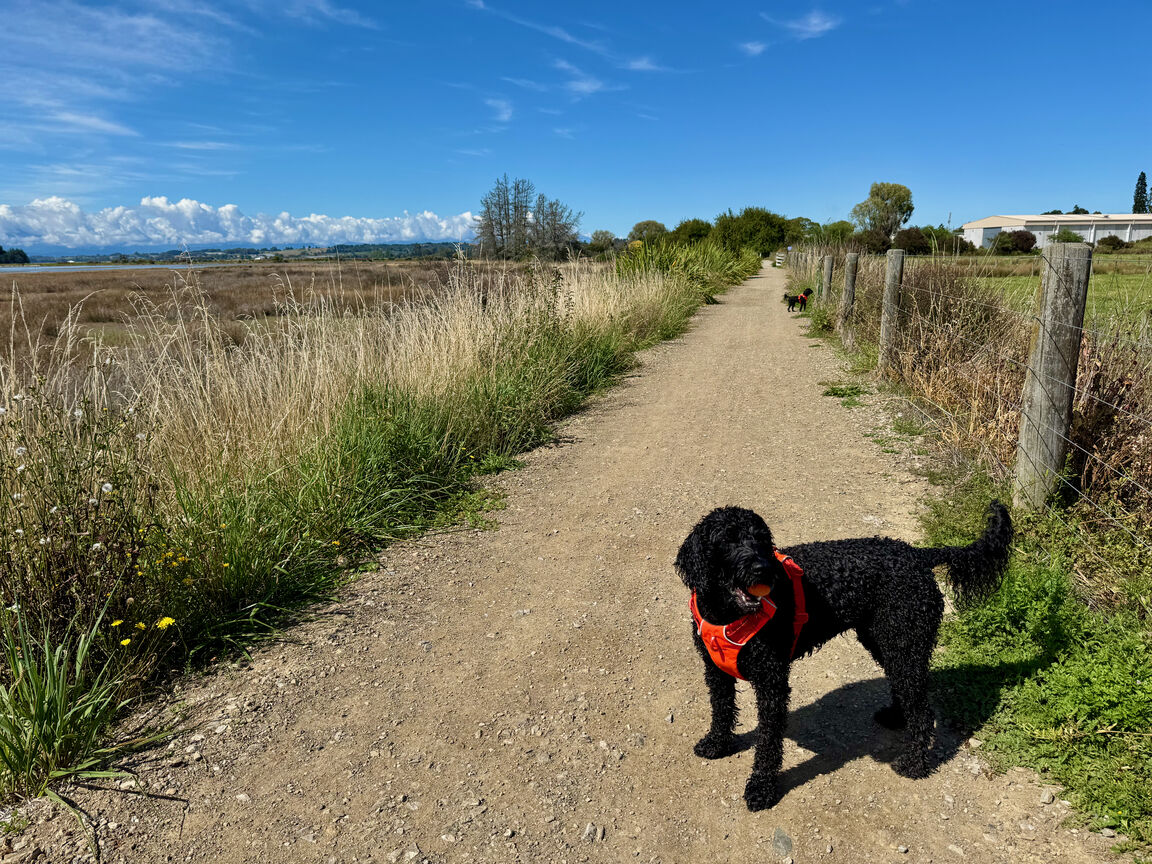 Photo from Great Taste Trail — Northern section from Māpua to Tapawera through Riuwaka, excluding Old Mill Walkway Reserve (on leash)