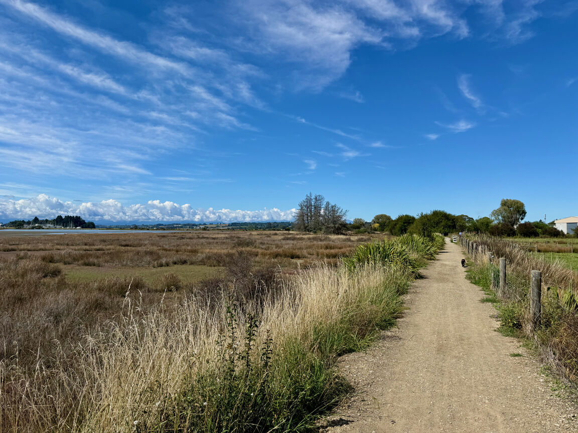 Photo from Great Taste Trail — Northern section from Māpua to Tapawera through Riuwaka, excluding Old Mill Walkway Reserve (on leash)