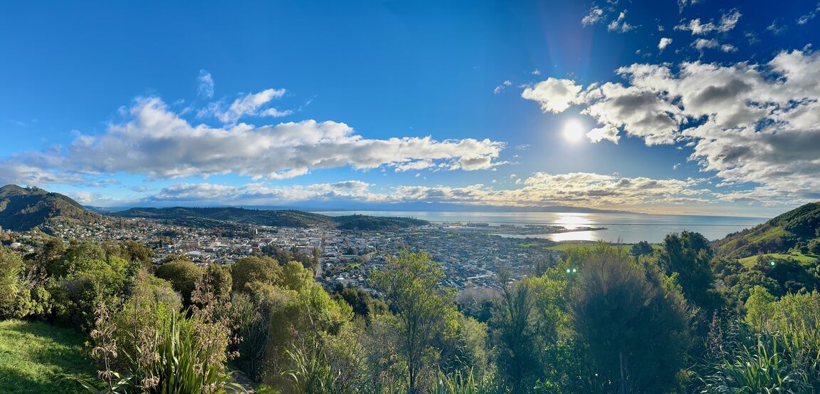 Photo from Botanical Hill (Centre of NZ)