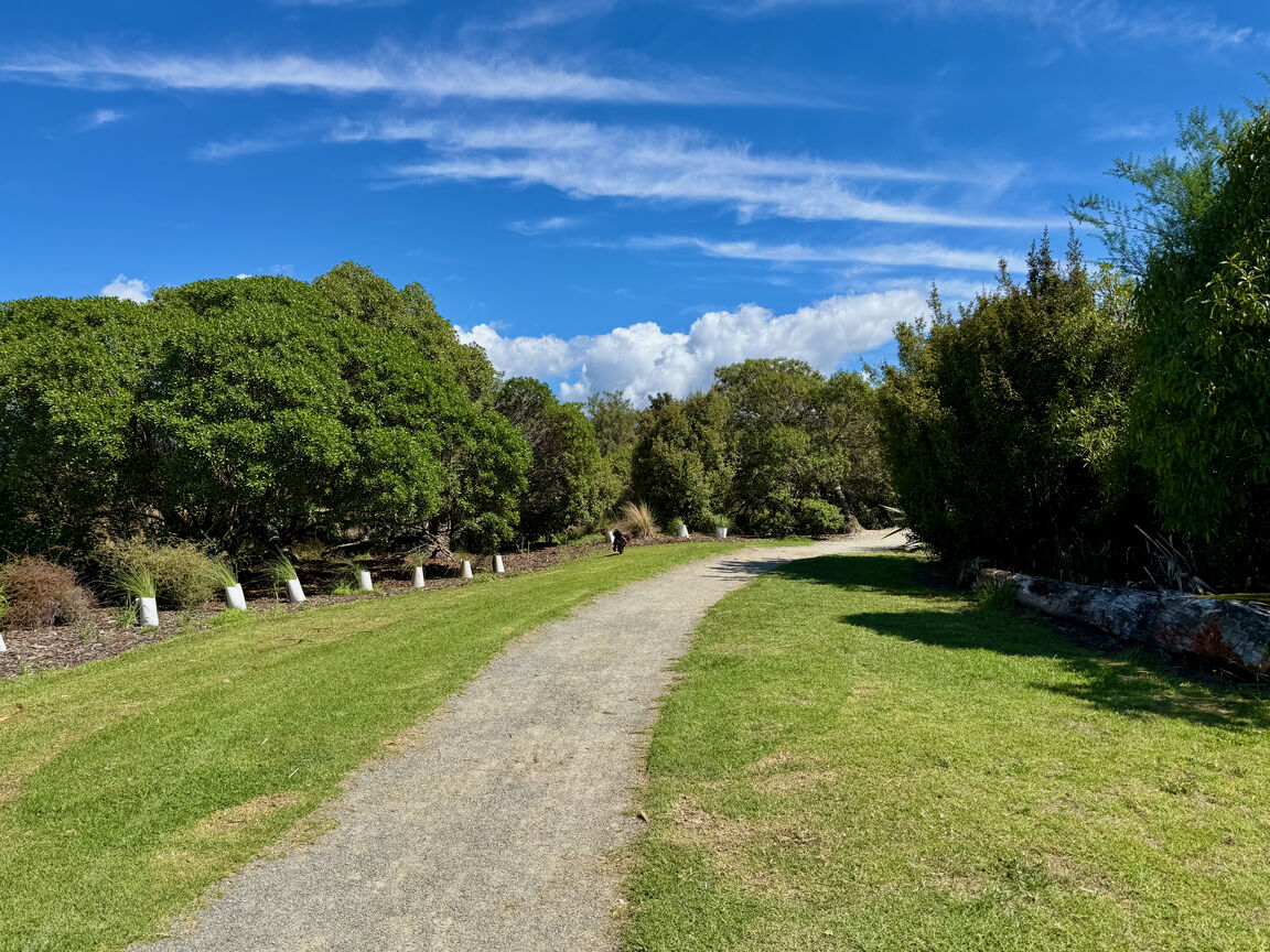 Photo from York Park
