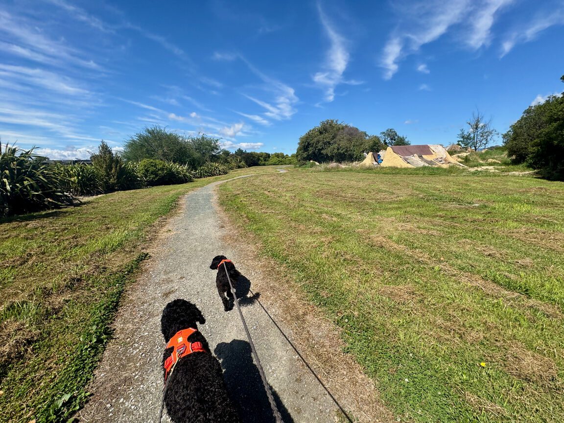 Photo from Great Taste Trail — Northern section from Māpua to Tapawera through Riuwaka, excluding Old Mill Walkway Reserve (on leash)