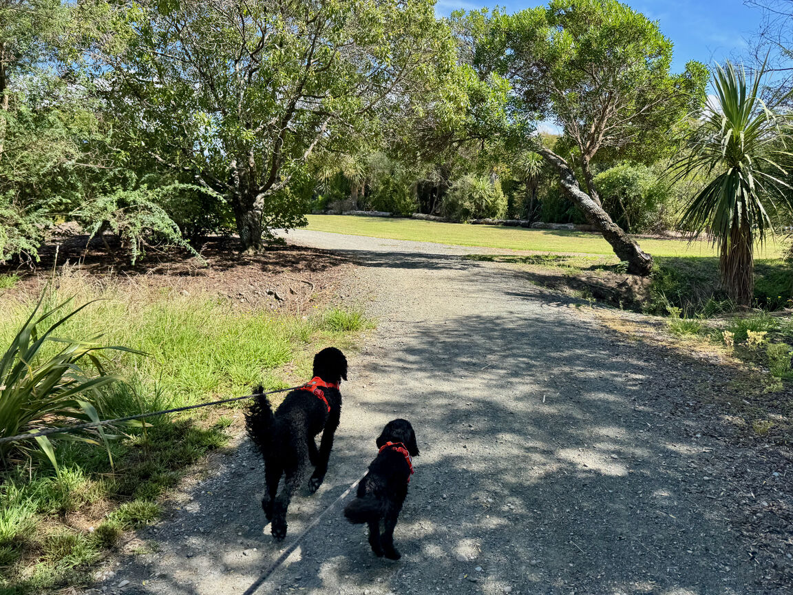 Photo from York Park