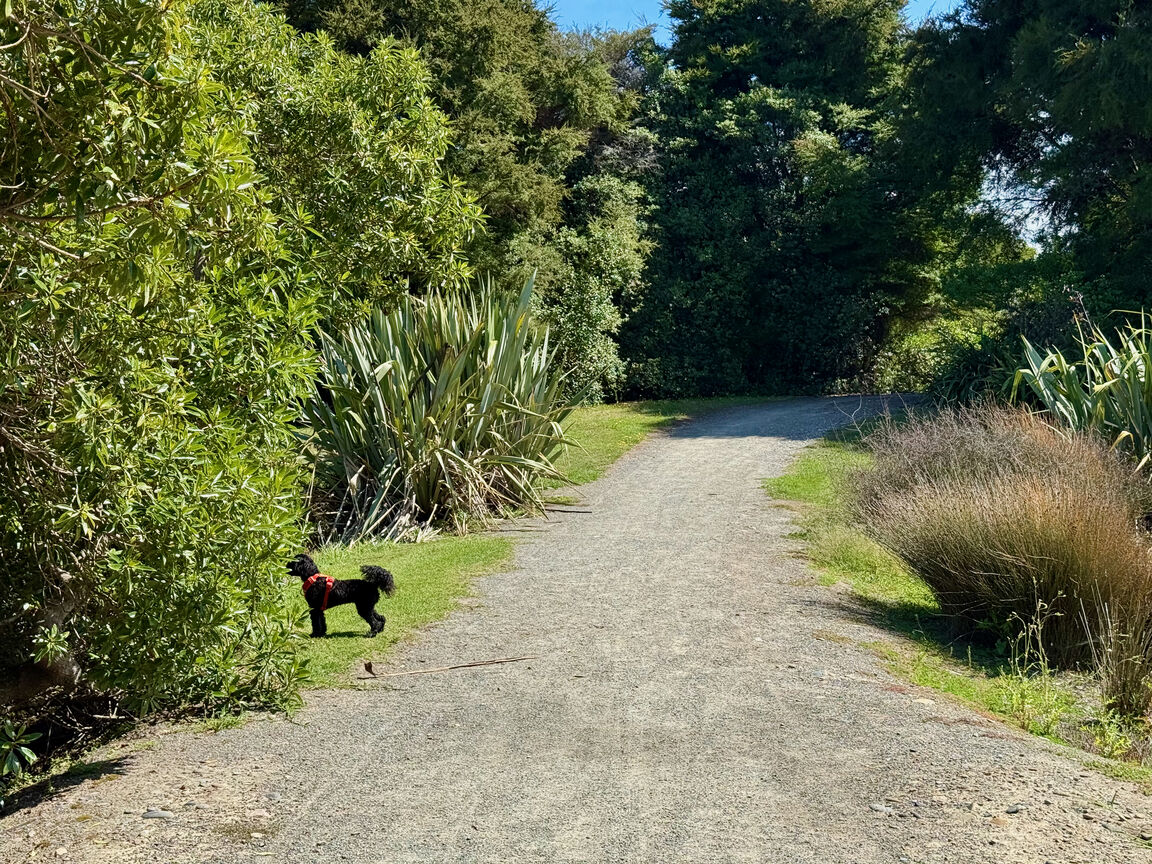 Photo from York Park