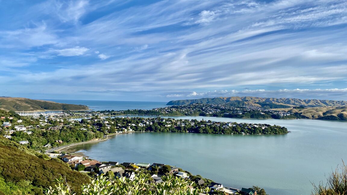 Photo from Spinnaker Walkway Reserve