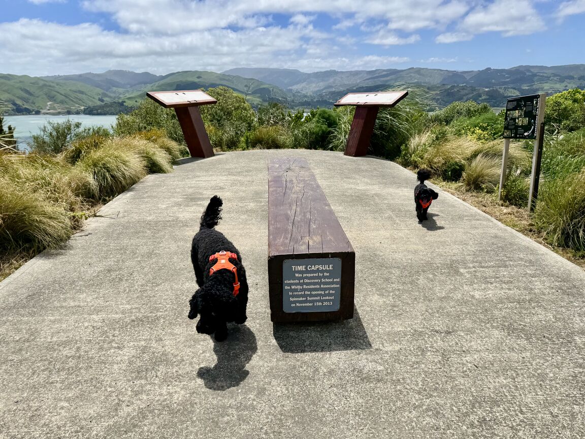 Photo from Spinnaker Walkway Reserve