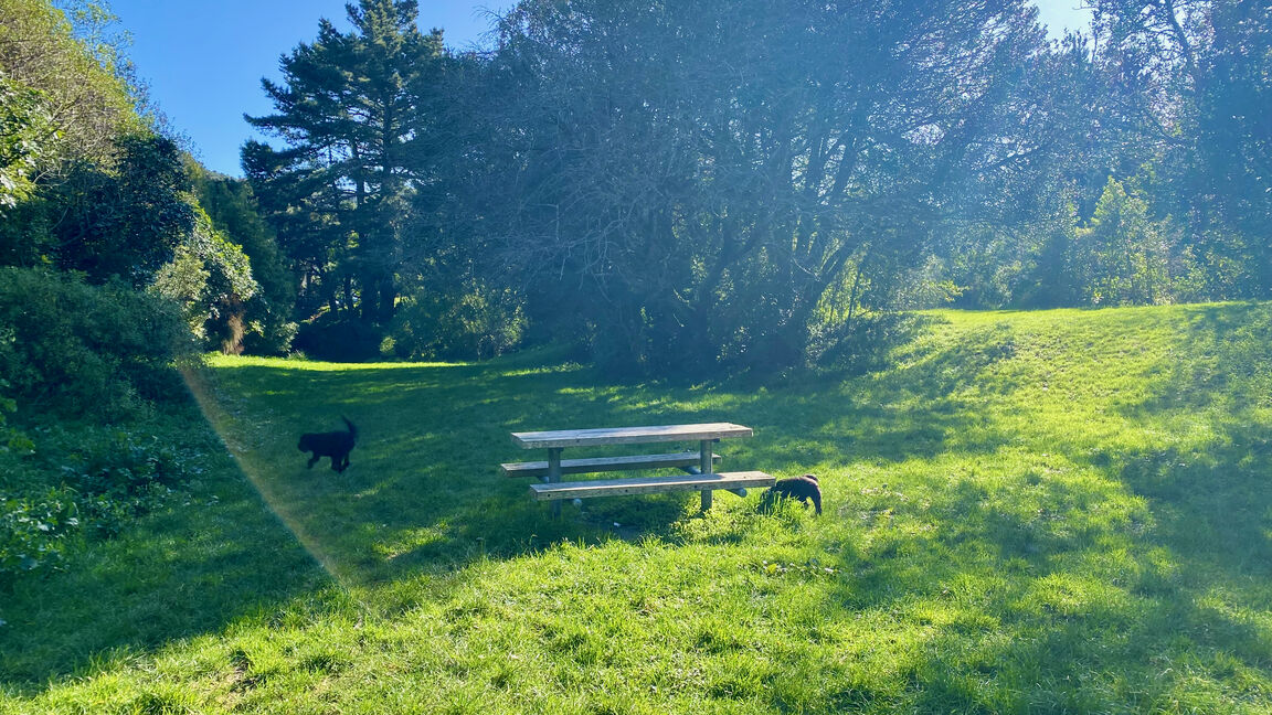 Photo from Willowbank Park