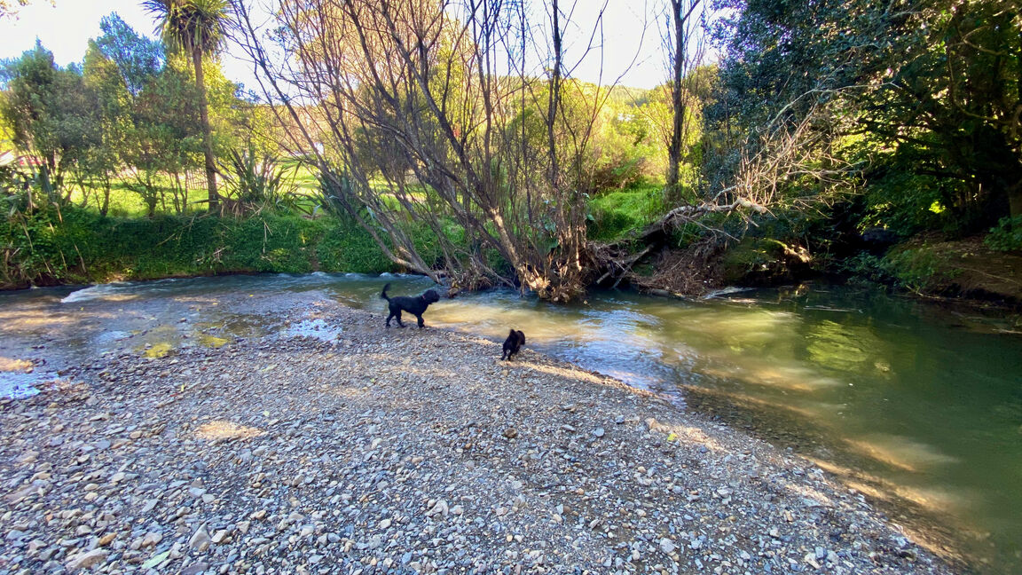 Photo from Willowbank Park