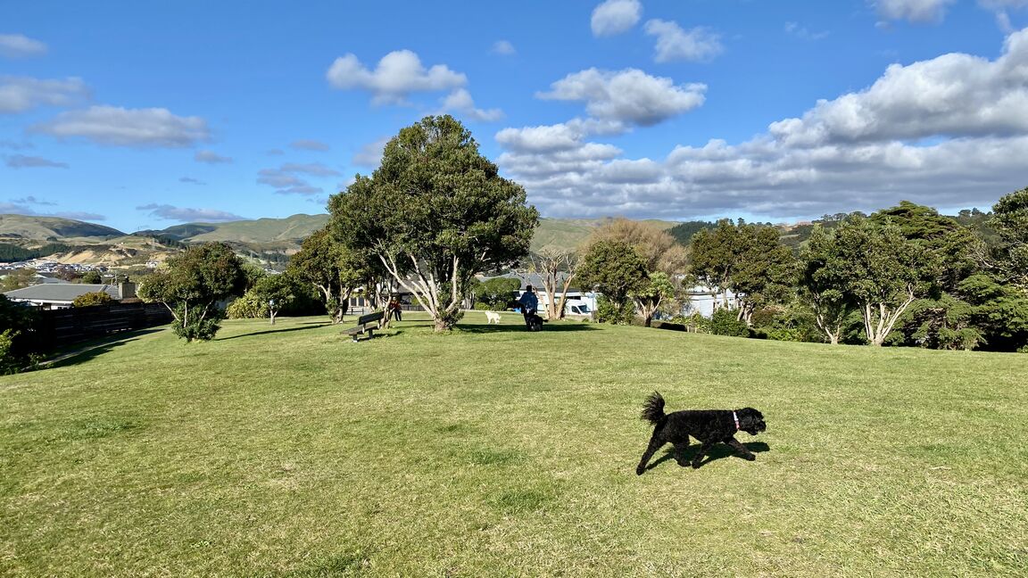 Photo from Brandon Reserve