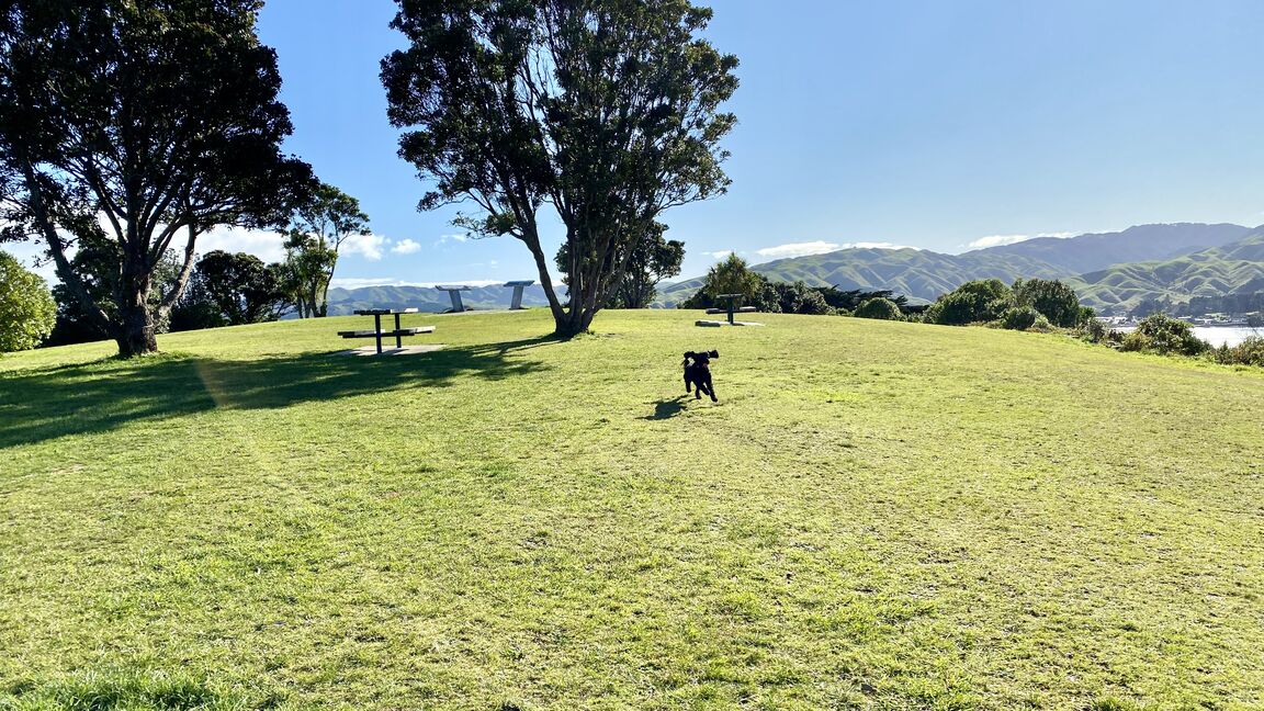 Photo from Brandon Reserve