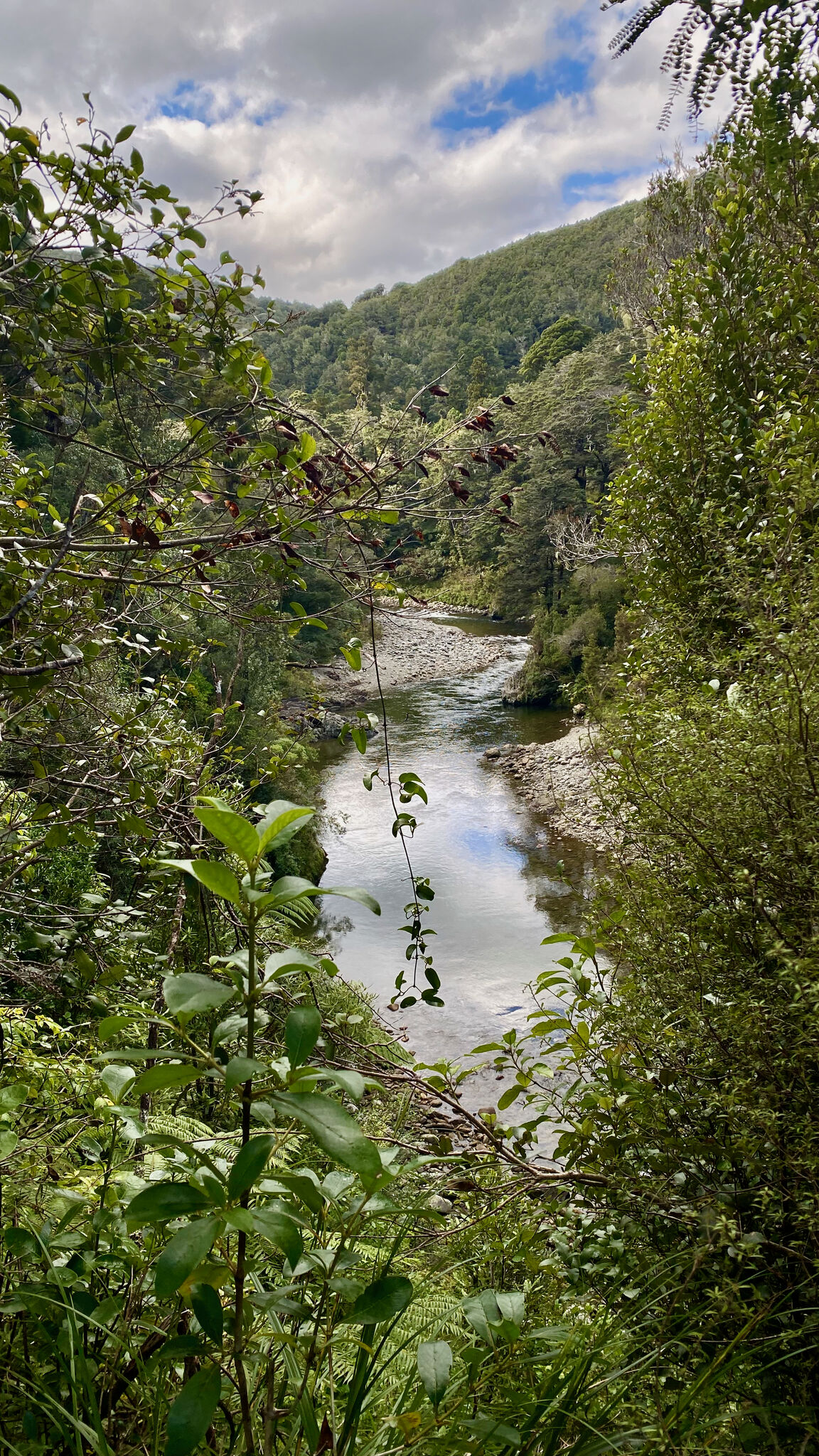 Photo from Kaitoke Regional Park