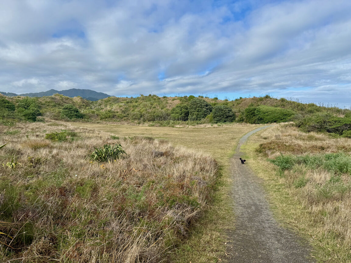 Photo from Queen Elizabeth Park
