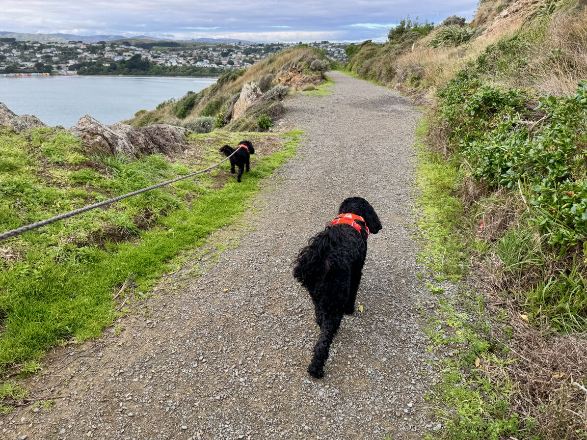 Photo from Stuart Park