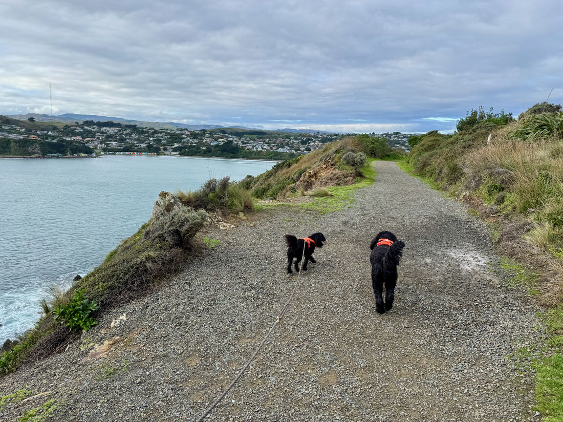 Photo from Stuart Park
