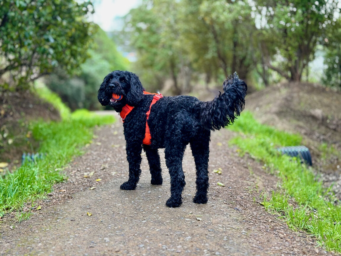Photo from Stuart Park