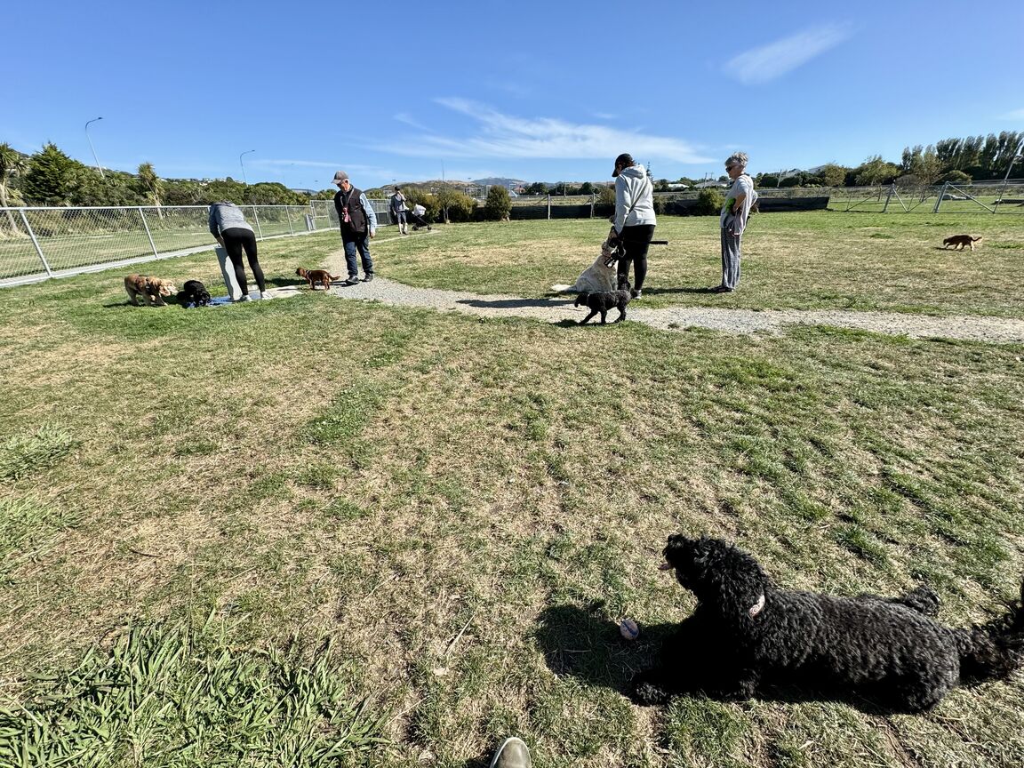 Photo from Plimmerton Domain Dog Recreation Area