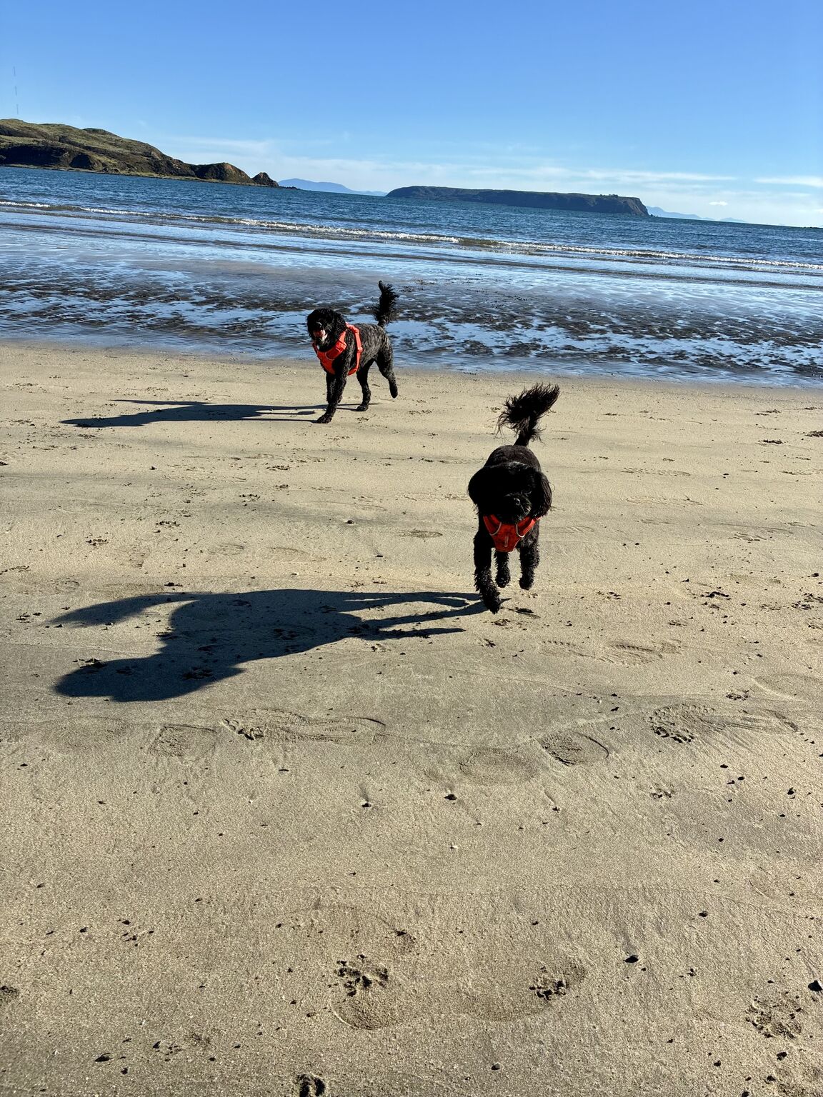 Photo from Plimmerton Beach