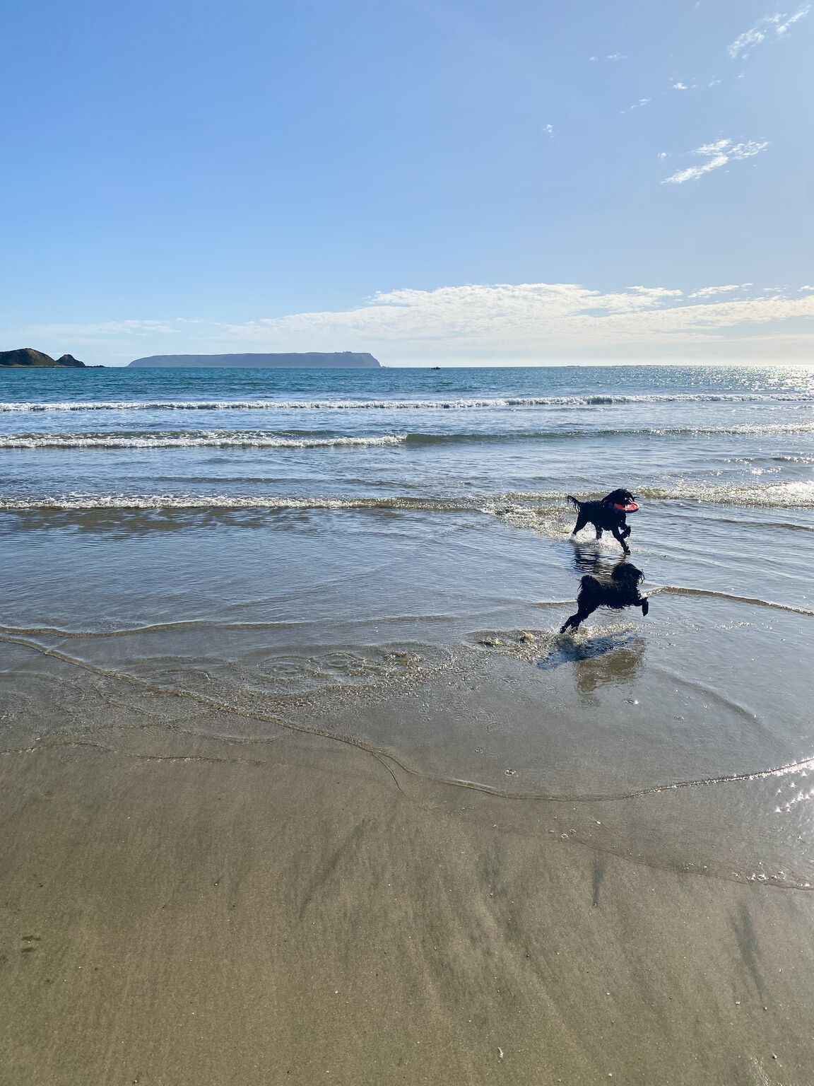Photo from Plimmerton Beach