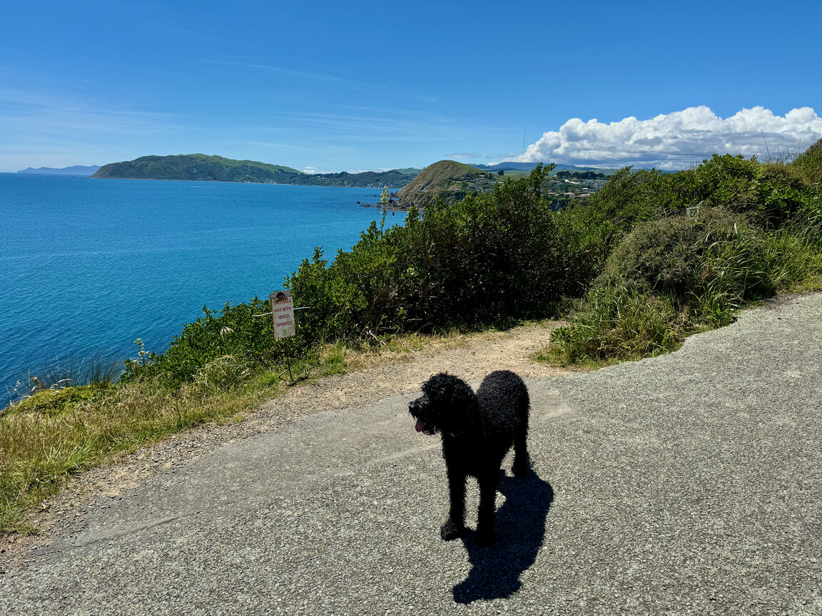 Photo from Stuart Park
