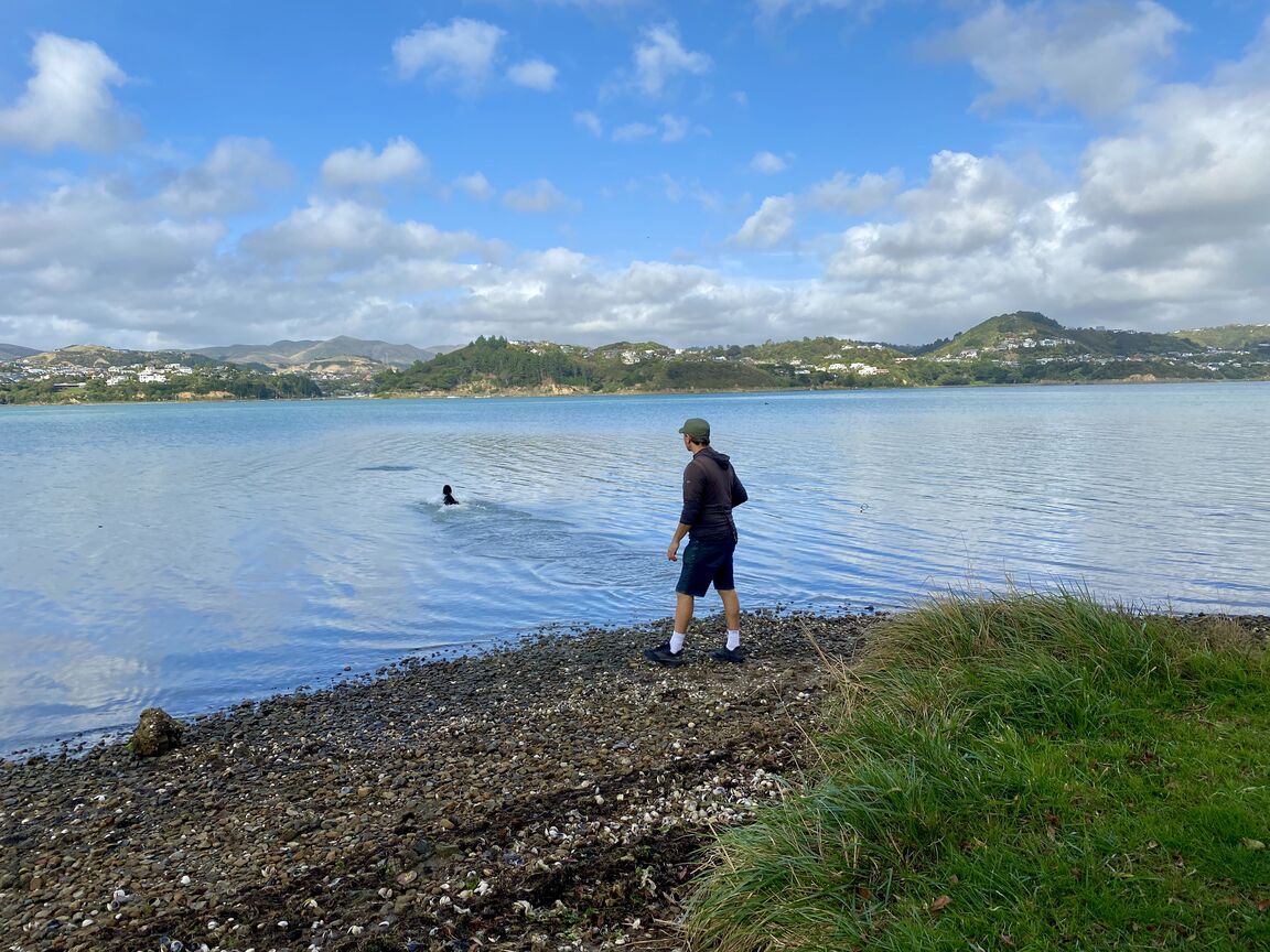 Photo from Motukaraka Point Reserve (inland area)