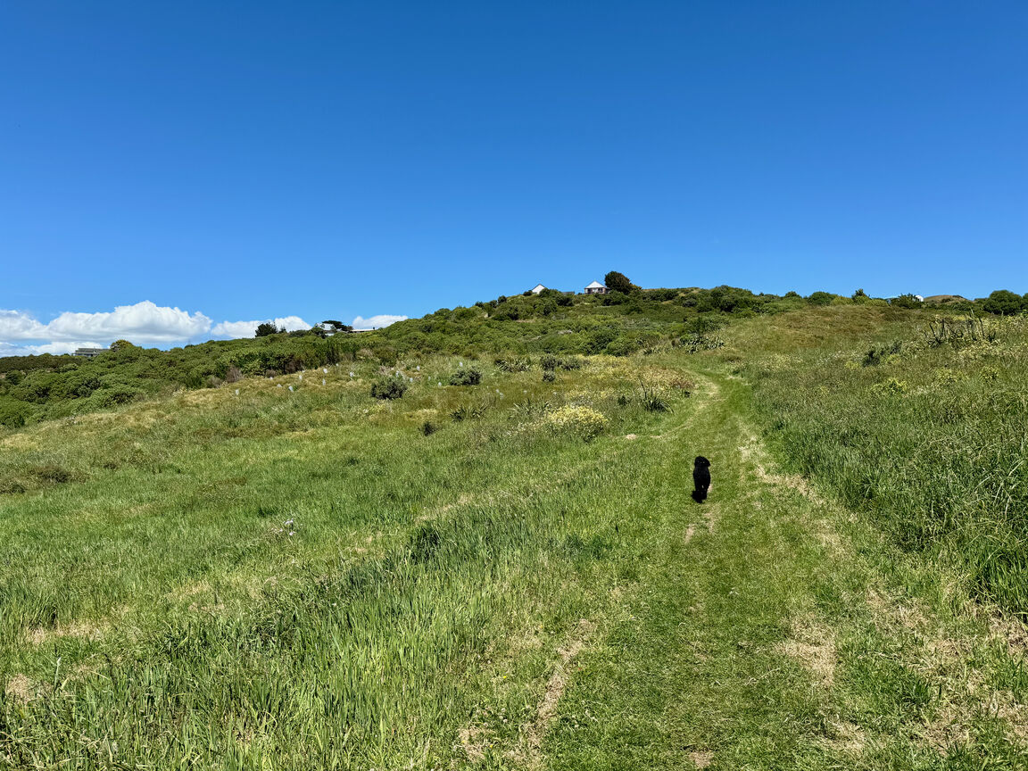 Photo from Stuart Park