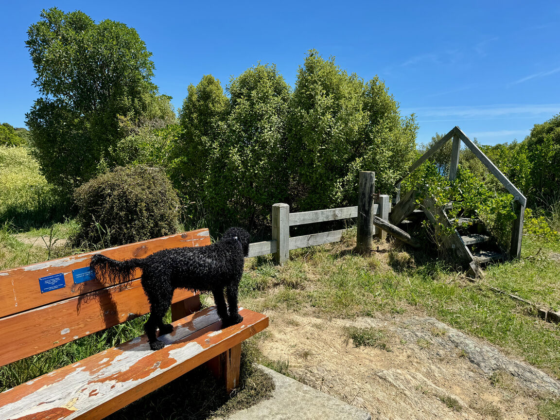 Photo from Stuart Park