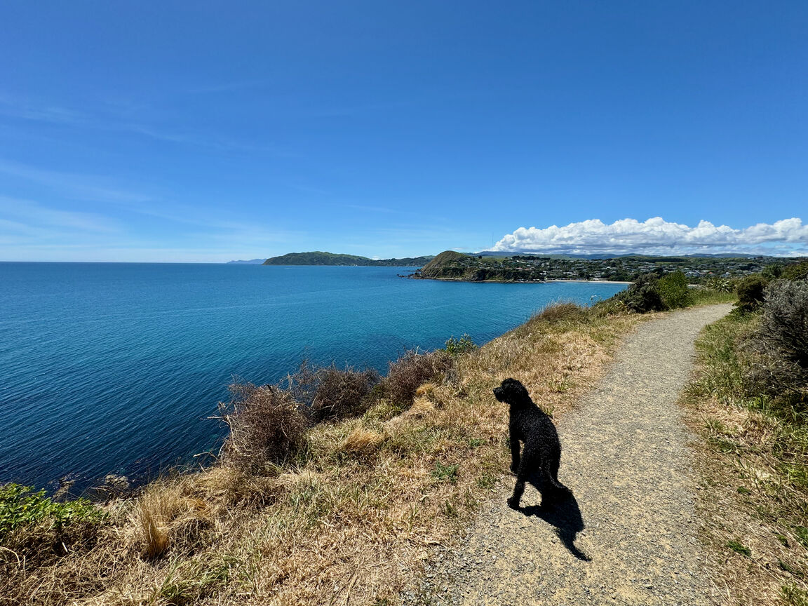 Photo from Stuart Park