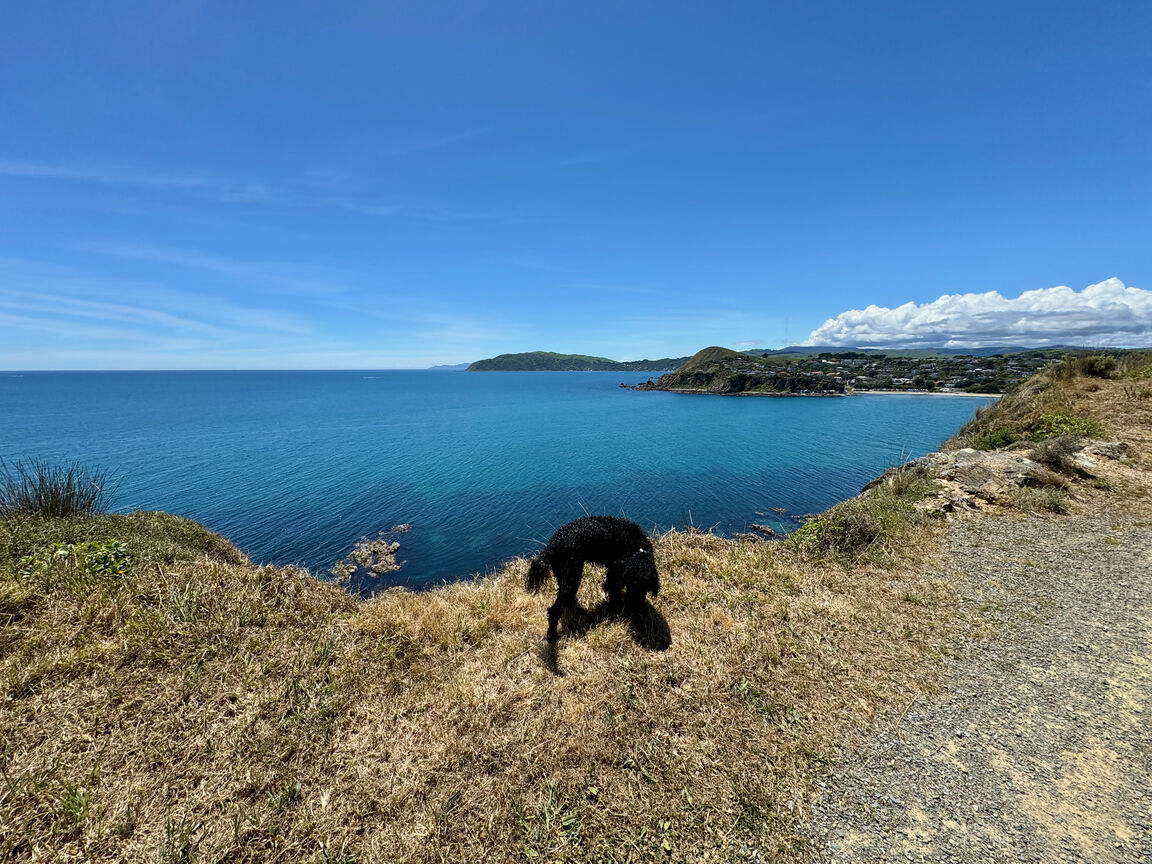 Photo from Stuart Park