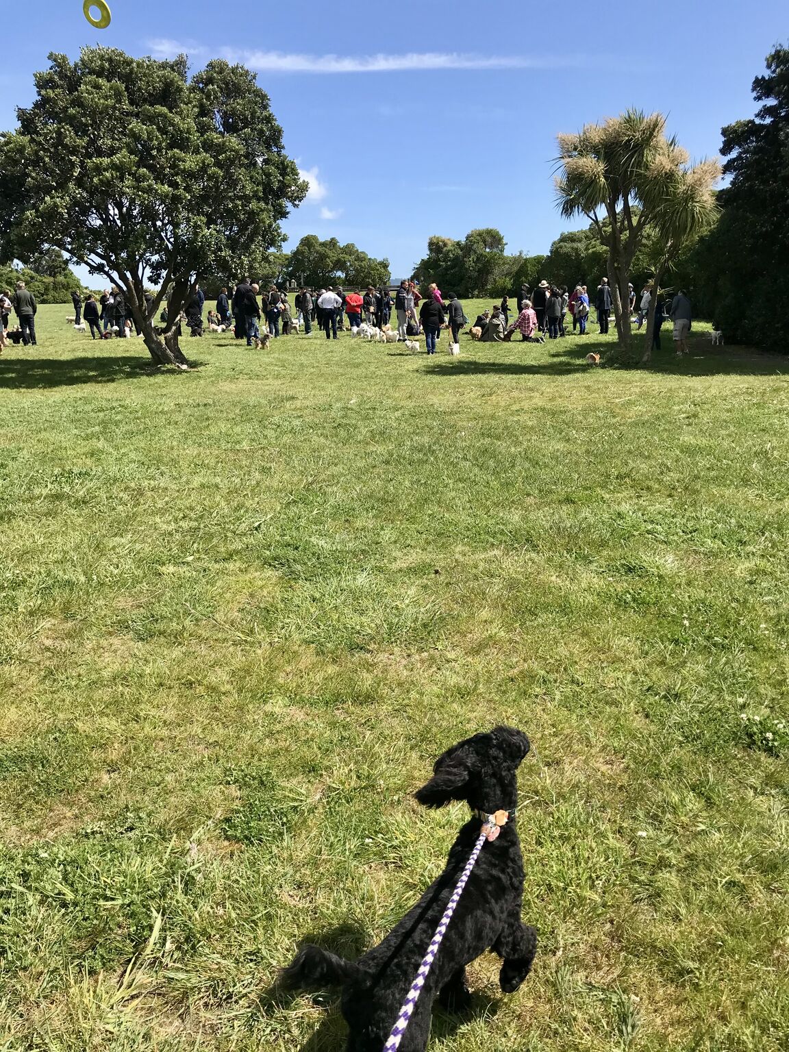 Photo from Petone Beach East