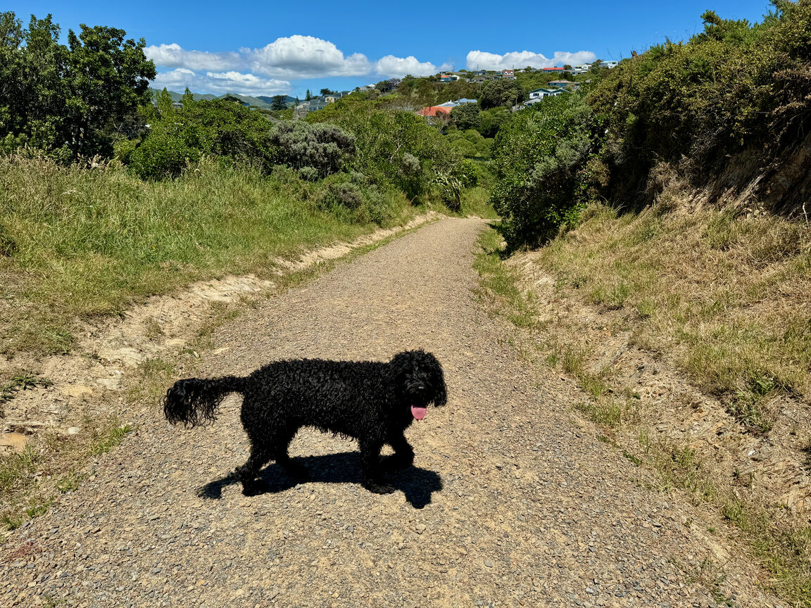 Photo from Stuart Park