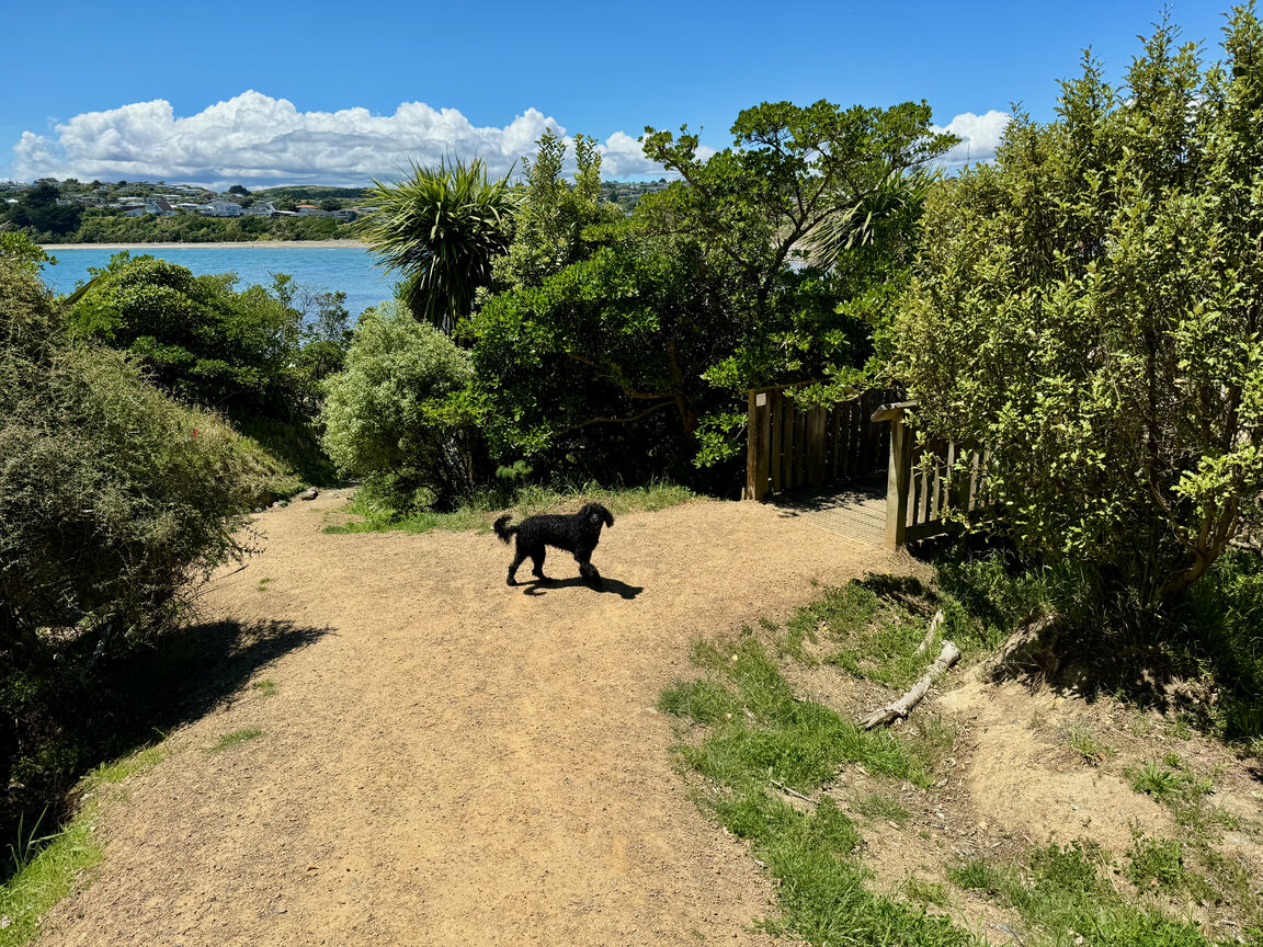 Photo from Stuart Park