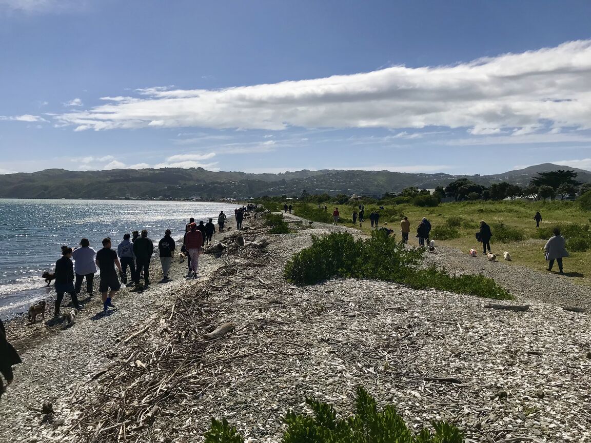 Photo from Petone Beach East
