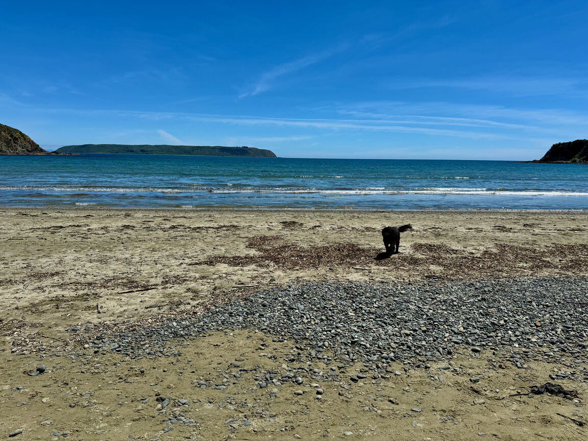 Photo from Titahi Bay Beach