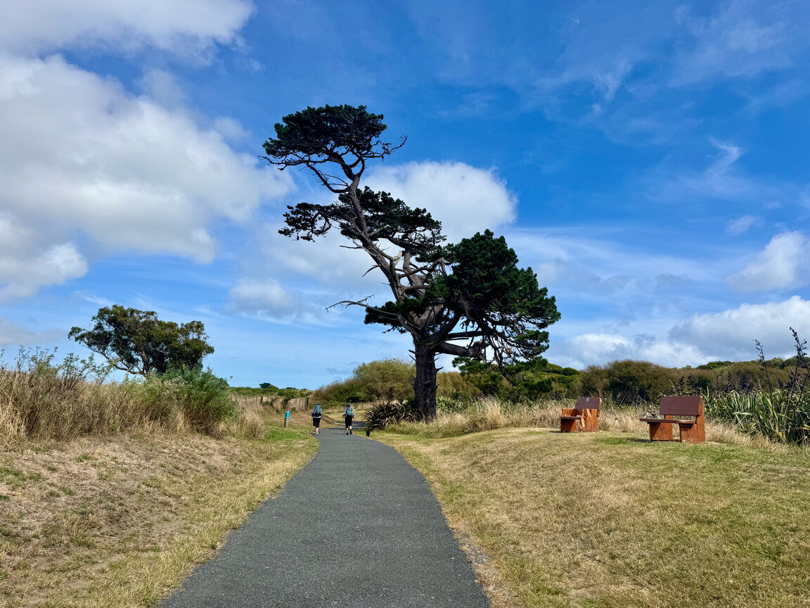 Photo from Queen Elizabeth Park