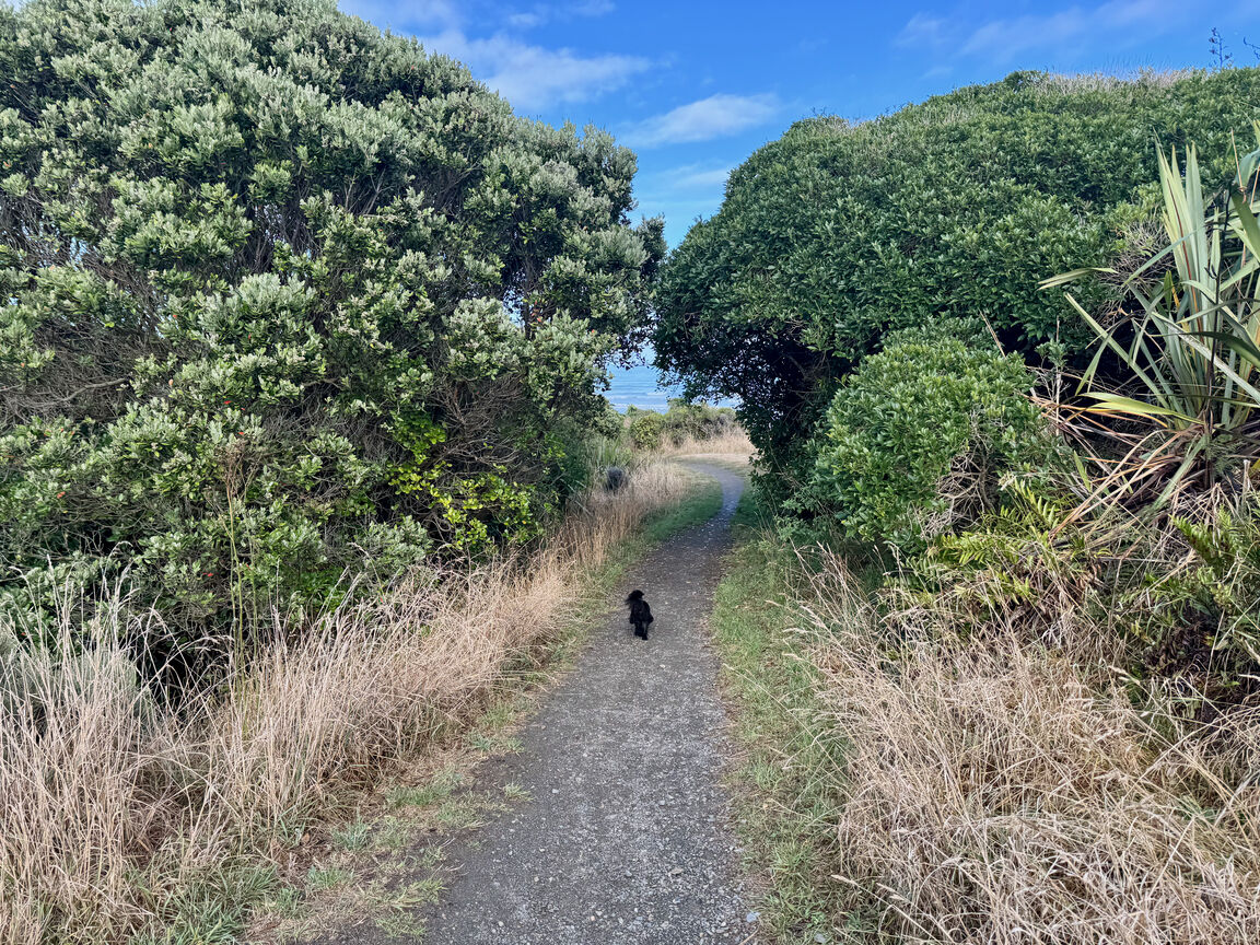 Photo from Queen Elizabeth Park