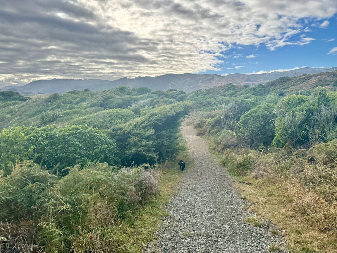 Photo from Queen Elizabeth Park